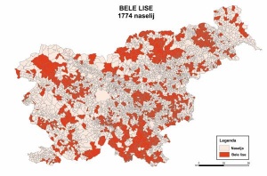 Bele lise za GOŠO 1 so bile definirane na ravni naselij. Vir: ministrstvo za gospodarstvo, 2007